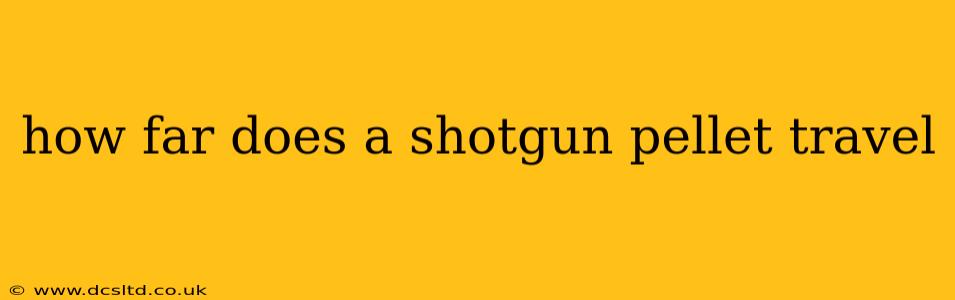 how far does a shotgun pellet travel