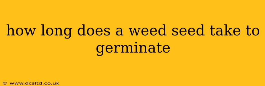 how long does a weed seed take to germinate