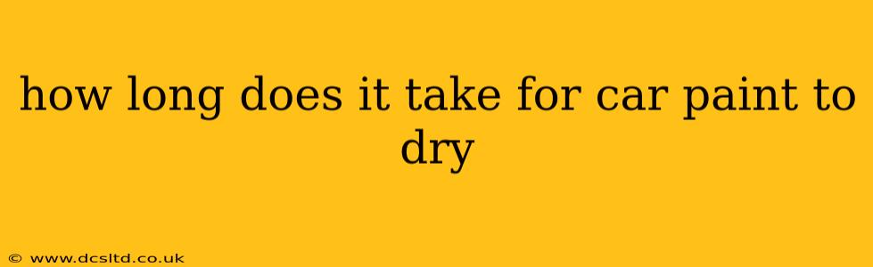 how long does it take for car paint to dry