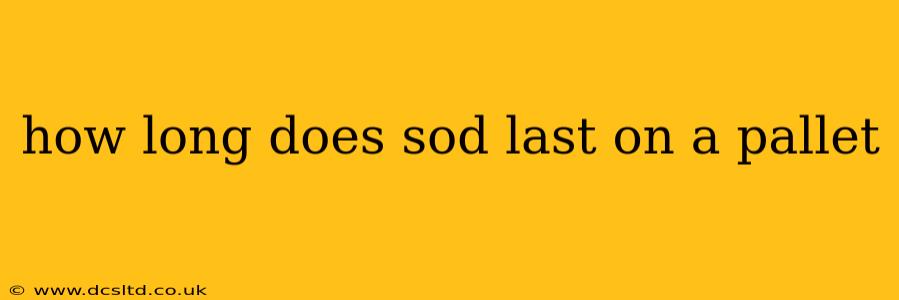 how long does sod last on a pallet