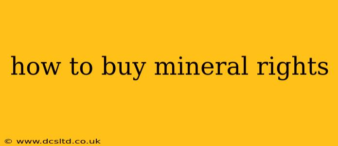 how to buy mineral rights