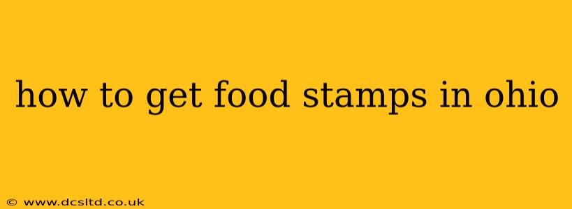 how to get food stamps in ohio