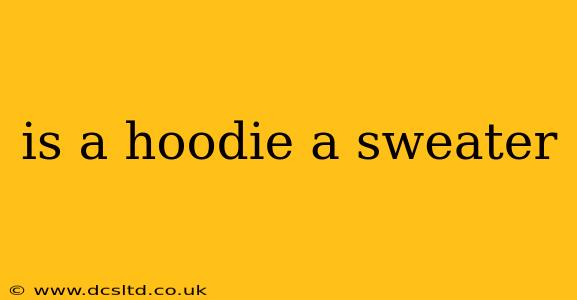 is a hoodie a sweater