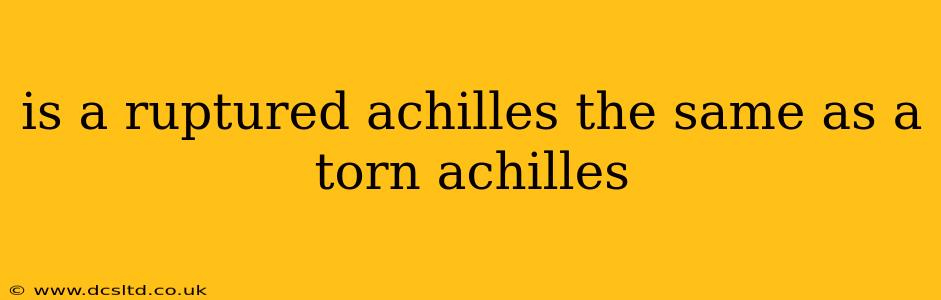is a ruptured achilles the same as a torn achilles