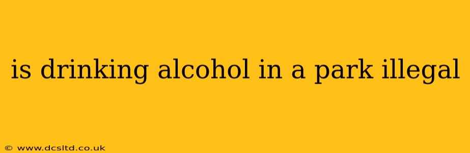 is drinking alcohol in a park illegal