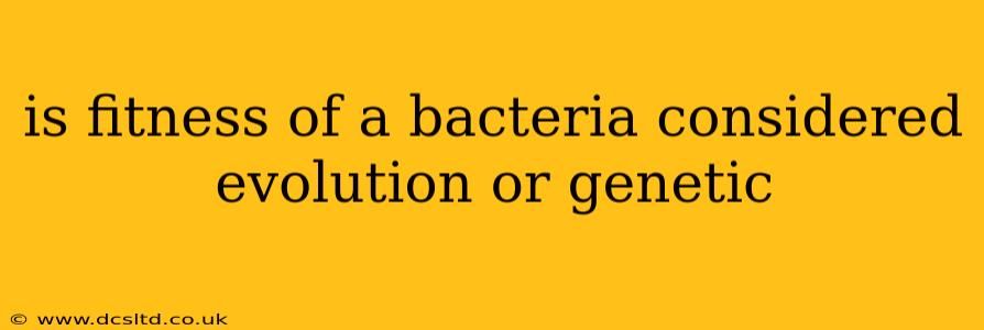 is fitness of a bacteria considered evolution or genetic