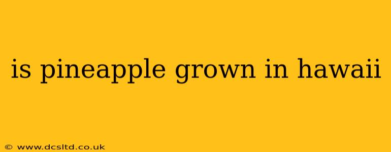 is pineapple grown in hawaii