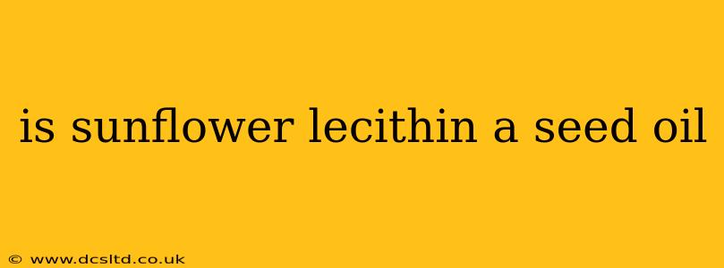 is sunflower lecithin a seed oil