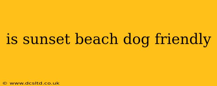 is sunset beach dog friendly