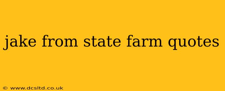 jake from state farm quotes