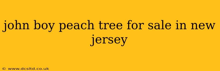 john boy peach tree for sale in new jersey