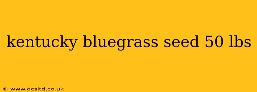 kentucky bluegrass seed 50 lbs