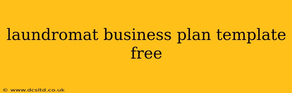 laundromat business plan template free