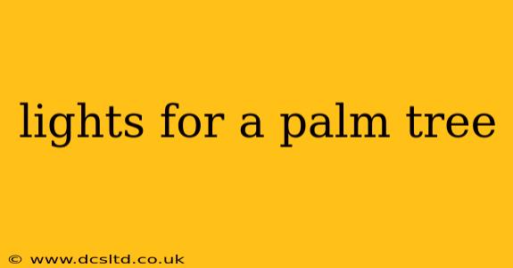 lights for a palm tree