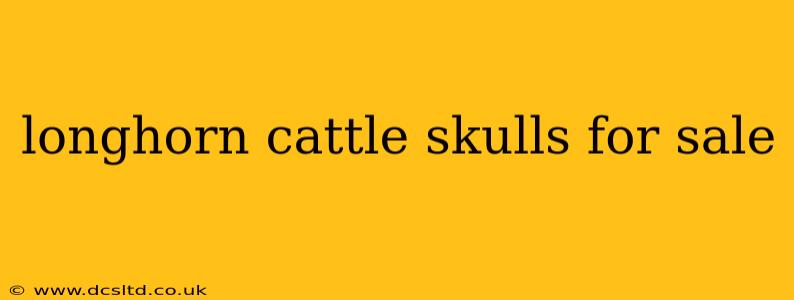 longhorn cattle skulls for sale