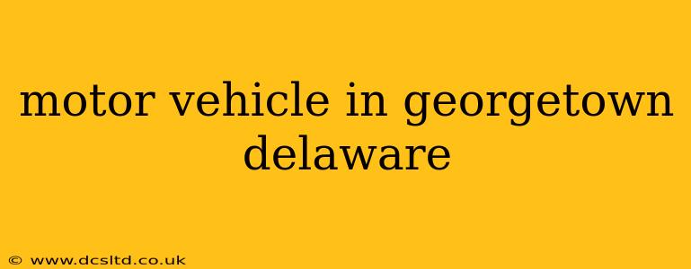 motor vehicle in georgetown delaware