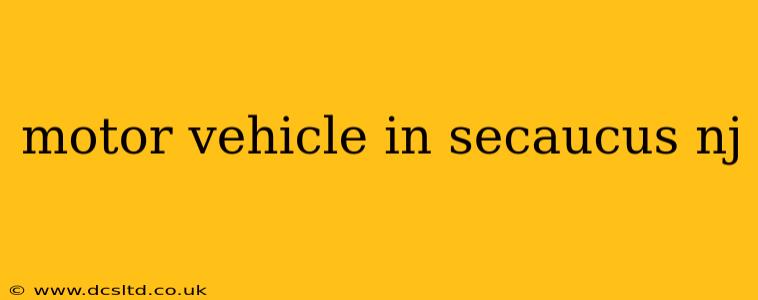 motor vehicle in secaucus nj