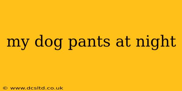 my dog pants at night