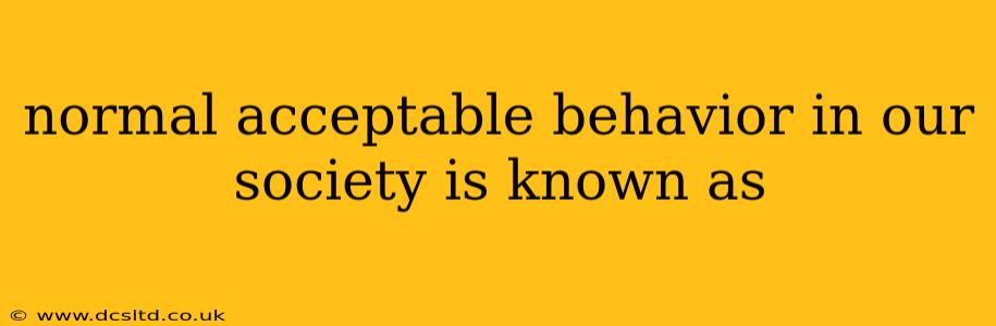 normal acceptable behavior in our society is known as