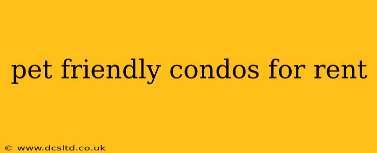 pet friendly condos for rent