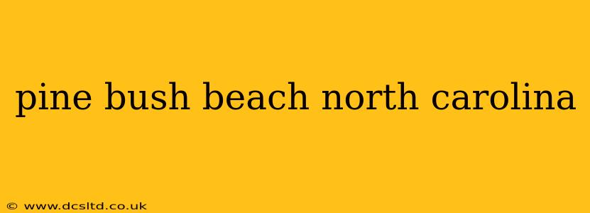 pine bush beach north carolina