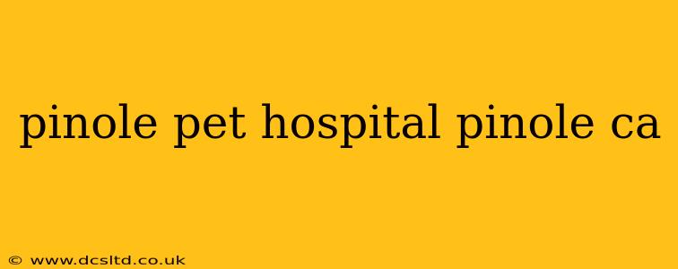 pinole pet hospital pinole ca