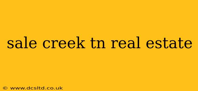 sale creek tn real estate