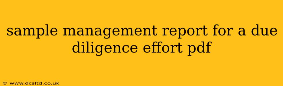 sample management report for a due diligence effort pdf