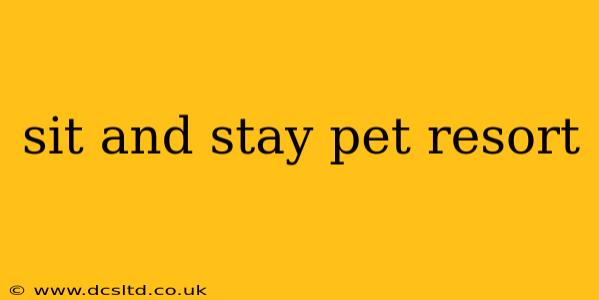 sit and stay pet resort