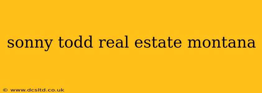 sonny todd real estate montana