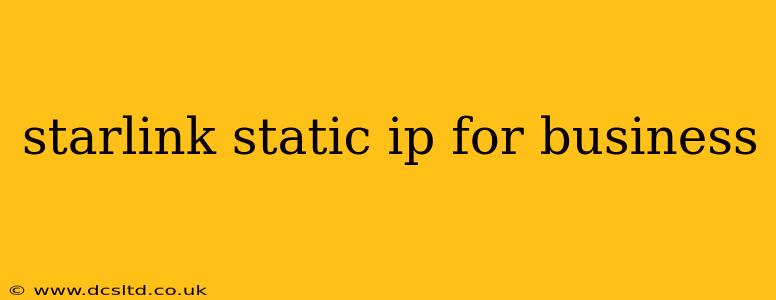 starlink static ip for business