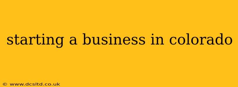 starting a business in colorado