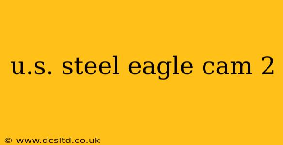 u.s. steel eagle cam 2