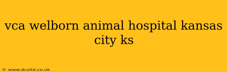 vca welborn animal hospital kansas city ks