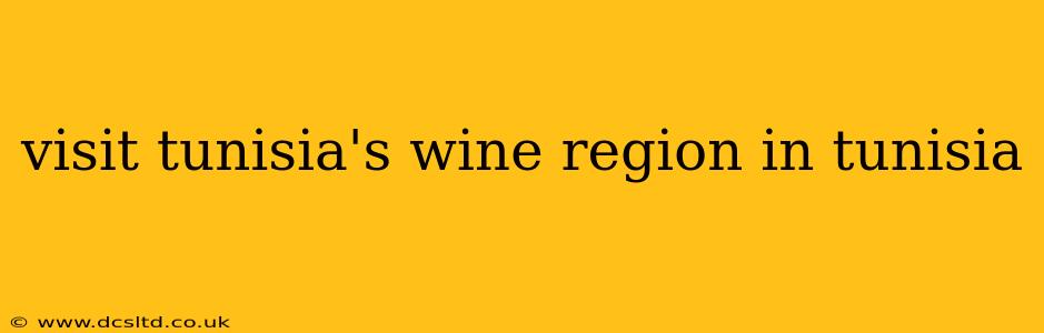 visit tunisia's wine region in tunisia