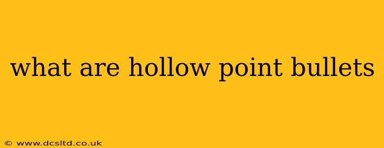 what are hollow point bullets