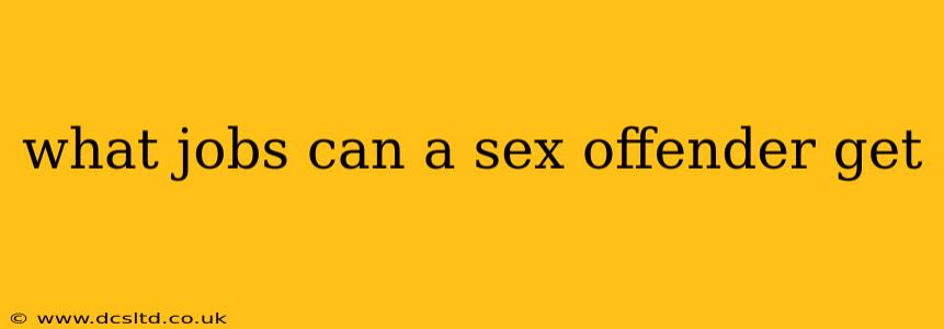 what jobs can a sex offender get