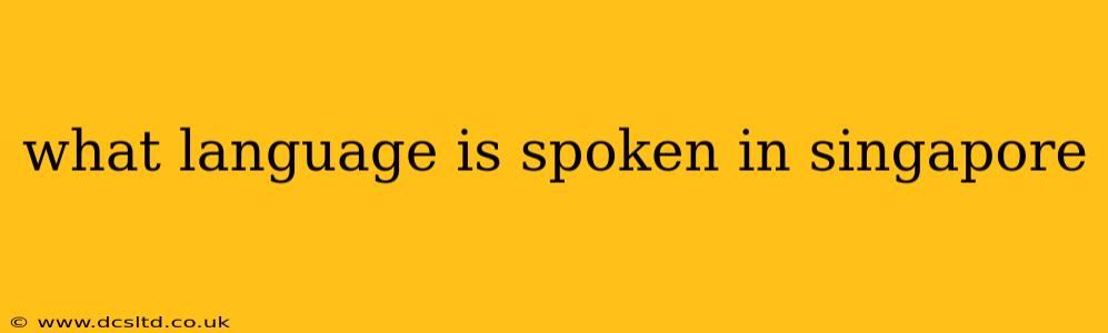 what language is spoken in singapore