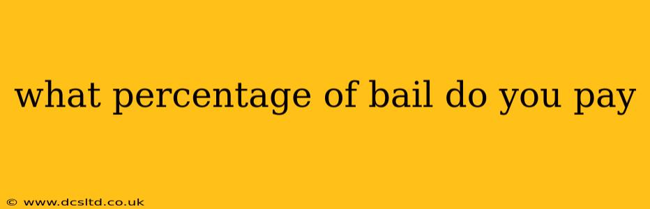 what percentage of bail do you pay