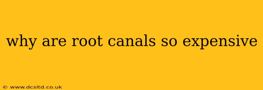 why are root canals so expensive