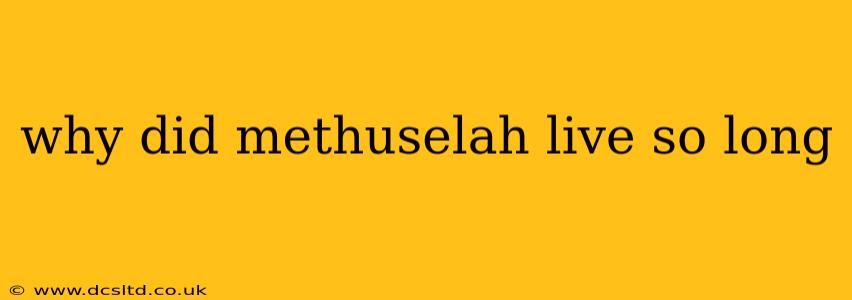 why did methuselah live so long