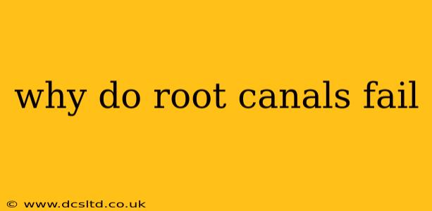 why do root canals fail