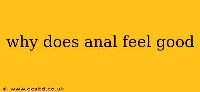 why does anal feel good