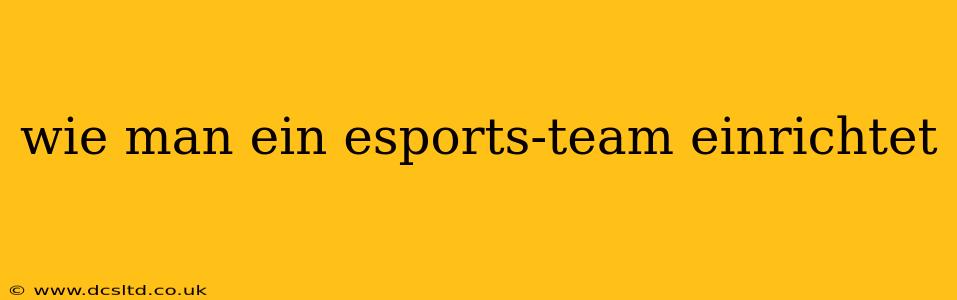 wie man ein esports-team einrichtet